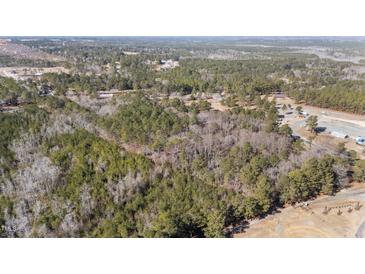 Expansive aerial view of wooded acreage providing privacy and a peaceful natural setting at 2630 Ponderosa Rd, Cameron, NC 28326