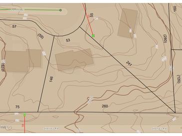 Property map showing topography, boundaries, and road access in a quiet neighborhood at 1305 Lennox Pl, Raleigh, NC 27612