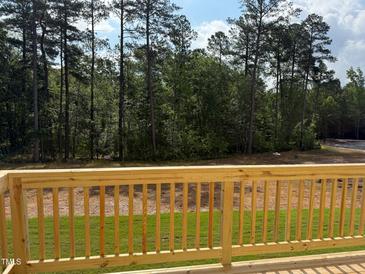View from the back porch with wood railings looking out over the lush green yard and treeline at 1359 Chowan Ave, Durham, NC 27713