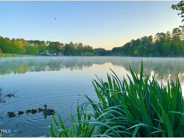 Picturesque pond view with a duck and ducklings swimming near lush, green vegetation at 2 Lake Village Dr, Durham, NC 27713