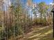 Wooded backyard with a gentle slope and lush greenery at 143 Hook Dr # 23, Fuquay Varina, NC 27526