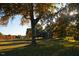 Serene view of a large tree and adjacent field with a fence on the property at 804 Ambercrest Place, Durham, NC 27705