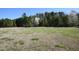 Expansive grassy lawn surrounded by lush trees, offering a serene and private setting at 2913 Wadsworth Ave, Durham, NC 27707
