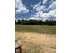 View of a spacious backyard and treeline at 103 Sage Ln # 009, Four Oaks, NC 27524