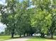 Scenic street view featuring mature trees creating a beautiful tree lined canopy at 103 Sage Ln # 009, Four Oaks, NC 27524