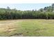 Expansive backyard with lush greenery, offering plenty of space for outdoor activities at 6059 Scalybark Road, Durham, NC 27712