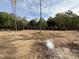 Large backyard with potential for landscaping, featuring perimeter trees and partial fencing at 2633 Trifle Ln, Wake Forest, NC 27587