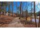 A scenic path leads alongside a pond near residential homes, ideal for nature walks at 2633 Trifle Ln, Wake Forest, NC 27587