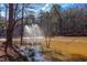 Scenic view of a pond with a fountain feature surrounded by trees and natural landscape at 2633 Trifle Ln, Wake Forest, NC 27587