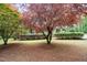 This is a view of the front yard, with lush greenery and a large tree at 2723 New Sharon Church Rd, Hillsborough, NC 27278