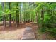 Charming wooden walkway through the trees, providing access to a scenic outdoor area at 2723 New Sharon Church Rd, Hillsborough, NC 27278