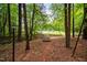 Scenic wooden pathway through the trees, leading to an open yard space at 2723 New Sharon Church Rd, Hillsborough, NC 27278