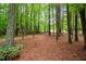 Wooded land with mature trees, providing privacy and a natural setting for a tranquil lifestyle at 2723 New Sharon Church Rd, Hillsborough, NC 27278