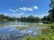 Community pond surrounded by trees and vegetation under a bright blue sky at 69 Browning Mill Dr, Wendell, NC 27591