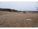 Open field with trees and distant home at 1850 Gillburg Road, Henderson, NC 27537