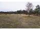 Open field with trees and distant view at 1850 Gillburg Road, Henderson, NC 27537