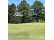Expansive golf course featuring mature trees and well-manicured green with flags on a sunny day at 154 Colonial Trail Ct, Pittsboro, NC 27312