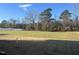 Large backyard with grassy area and mature trees at 395 Fast Pitch Ln, Four Oaks, NC 27524