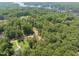 Overhead aerial image revealing lake and a dense canopy of green trees surrounding the property at 242 Sequoia Dr, Louisburg, NC 27549