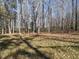 Secluded backyard with tall trees, perfect for nature lovers seeking privacy and tranquility at 30 Tamaran Ct, Spring Hope, NC 27882