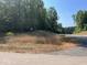 Vacant lot with overgrown grass, located on a paved road in a wooded neighborhood at 155 Gaines Trl, Pittsboro, NC 27312