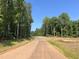 A paved road winds through a wooded area with new home construction at 155 Gaines Trl, Pittsboro, NC 27312