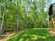 Landscaped backyard featuring a lush, green lawn and a beautiful wooded backdrop for a relaxing and private atmosphere at 7621 Falls Creek Ln, Raleigh, NC 27614