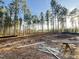 Cleared land ready for construction featuring a wooded backdrop and abundant sunlight at 2728 Trifle Ln, Wake Forest, NC 27587