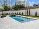 Modern backyard pool with clean lines and a stone retaining wall, surrounded by lush greenery at 861 Wimbleton Dr, Raleigh, NC 27609