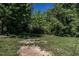 A vacant lot with a mix of grass and bare ground surrounded by trees and dense greenery at 527 S East St, Raleigh, NC 27601