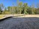 Large backyard with playground and open space at 1328 Bessie Ct, Wake Forest, NC 27587