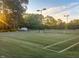 Tennis court featuring well-maintained green surface and mature trees in the background at 146 Wood Wedge, Sanford, NC 27332