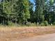 Beautiful plot of land with mature trees offering shade and privacy at 111 Gaines Trail, Pittsboro, NC 27312