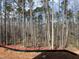 View of wooded property boundary with a black construction barrier in place at 162 Gaines Trail, Pittsboro, NC 27312