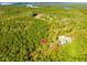 Acreage aerial view surrounded by trees and lake at 139 Goodison Park Rd, New Hill, NC 27562