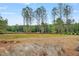 Expansive wooded backyard perfect for outdoor activities and enjoying nature at 4812 Parker Meadow Dr, Raleigh, NC 27614