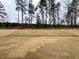 Spacious backyard featuring new grass and plenty of room for recreation at 165 Inspiration Way, Fuquay Varina, NC 27526