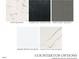 Countertop options showcasing lyra quartz, charcoal soapstone, and grey expo quartz at 1535 Urban Trace Ln, Raleigh, NC 27608