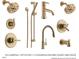 Champagne/brushed bronze plumbing options with various fixtures at 1535 Urban Trace Ln, Raleigh, NC 27608