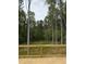 Beautiful wooded backyard view from a new wooden deck, offering privacy and a natural setting at 60 Lemon Drop Ln, Franklinton, NC 27525