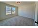 Sunlit bedroom featuring plush carpeting, neutral walls, and an expansive view from the double window at 168 Grand Griffon Way, Lillington, NC 27546