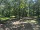 Backyard surrounded by the shade of a lush tree canopy with grassy areas at 184 Pine E St, Lillington, NC 27546