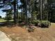Property surrounded by mature trees and extensive foliage at 184 Pine E St, Lillington, NC 27546
