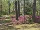Landscaped yard with vibrant azaleas and mature trees offering a serene, wooded view at 184 Pine E St, Lillington, NC 27546