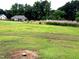 Exterior view of the home featuring a large front lawn, trees, and tall grassy plants at 1917 New Hill Olive Chapel Rd, New Hill, NC 27562