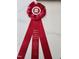 Special Feature Parade of Homes ribbon at 199 N Smith St, Clayton, NC 27520