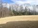 Homesite with cleared and partially-grassed backyard at 448 Fast Pitch Ln, Four Oaks, NC 27524