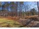 Wooded backyard with mature trees at 8780 Old Nc 86, Chapel Hill, NC 27516