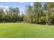 Expansive backyard with lush green grass and mature trees, perfect for outdoor activities at 2506 Silas Peak Ln, Apex, NC 27523