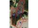 Aerial view showcasing property boundaries with numbered lots, wooded areas, and ponds at 2560 Lassiter Rd, Four Oaks, NC 27524